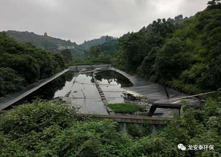 圖片3.png 圖片3.png