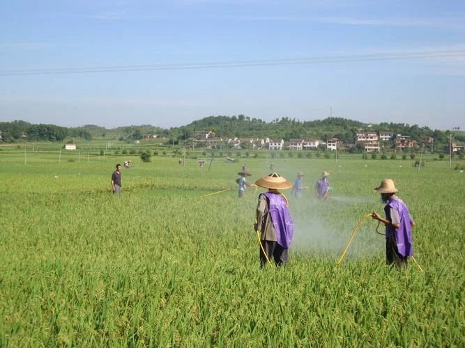 農(nóng)藥廢水,電催化氧化設備,電催化反應器,電催化氧化裝置